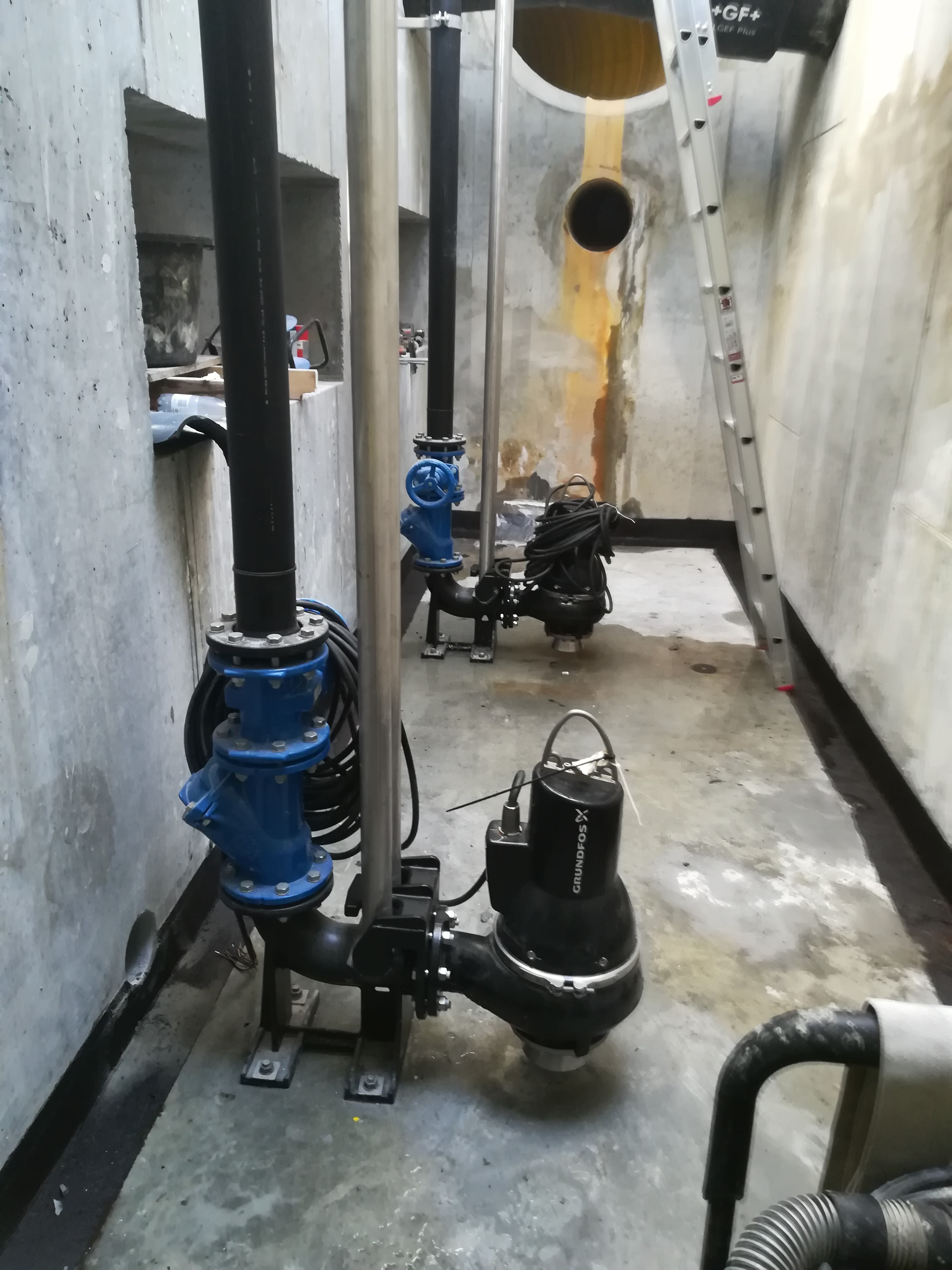 IMG 20200617 090645 1